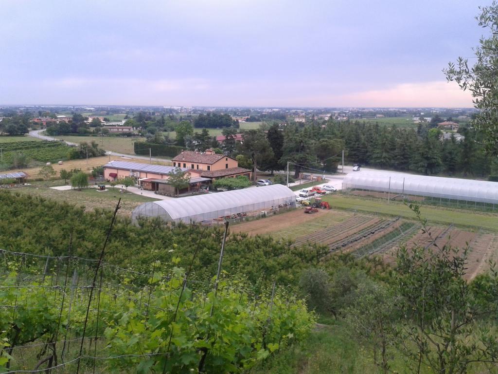 Agriturismo Perugini Acomodação com café da manhã Cesena Exterior foto