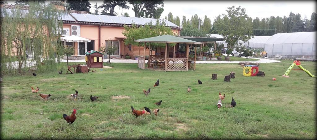 Agriturismo Perugini Acomodação com café da manhã Cesena Exterior foto